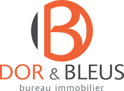 Expert immobilier à Liège Dor & Bleus