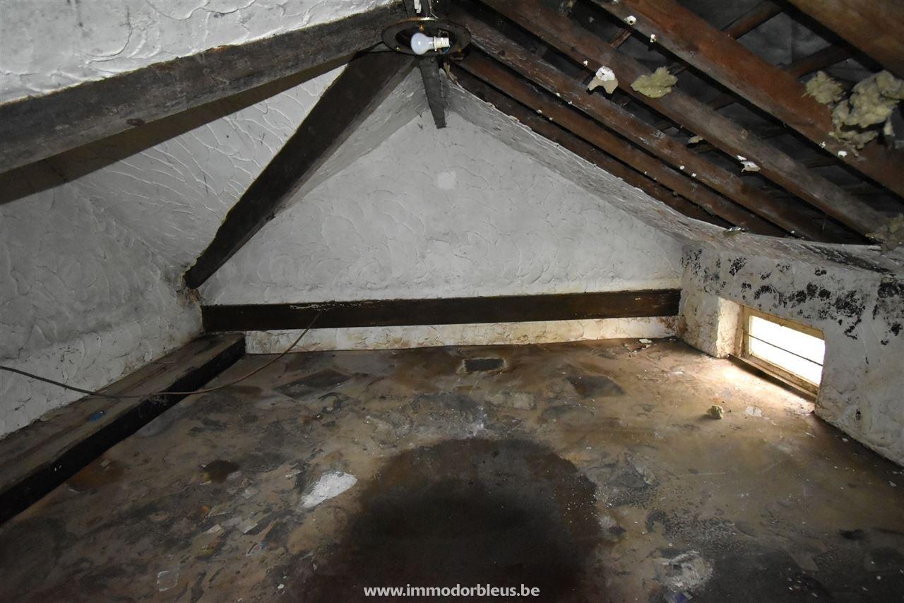 a-vendre-maison-esneux-2502-7.jpg