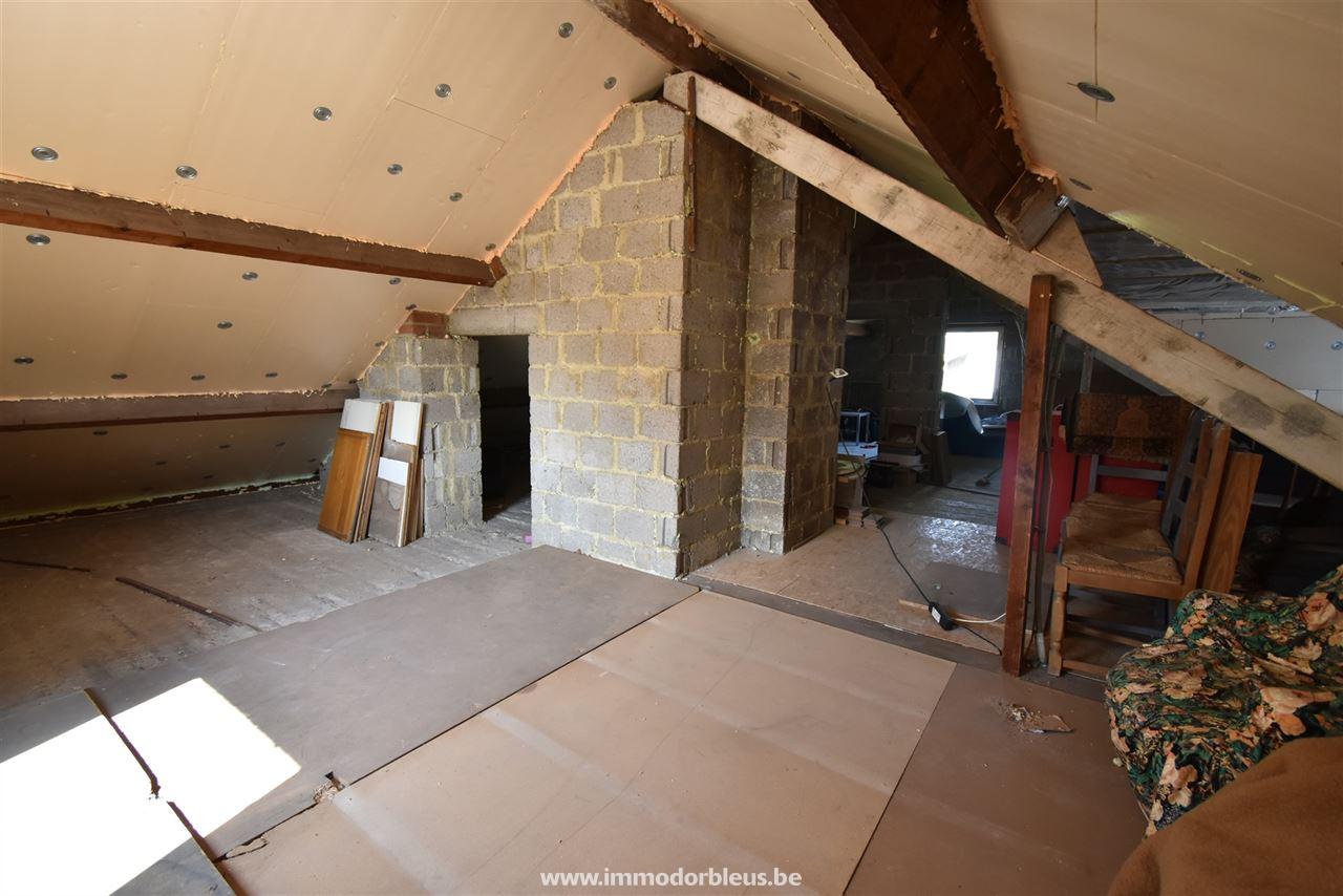 a-vendre-maison-berloz-2530-18.jpg