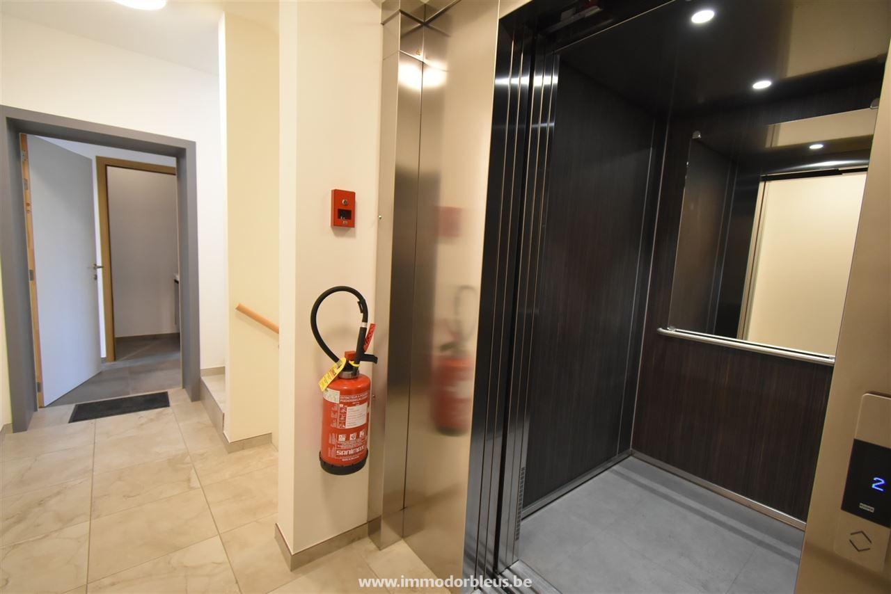 a-louer-appartement-berneau-2552-19.jpg