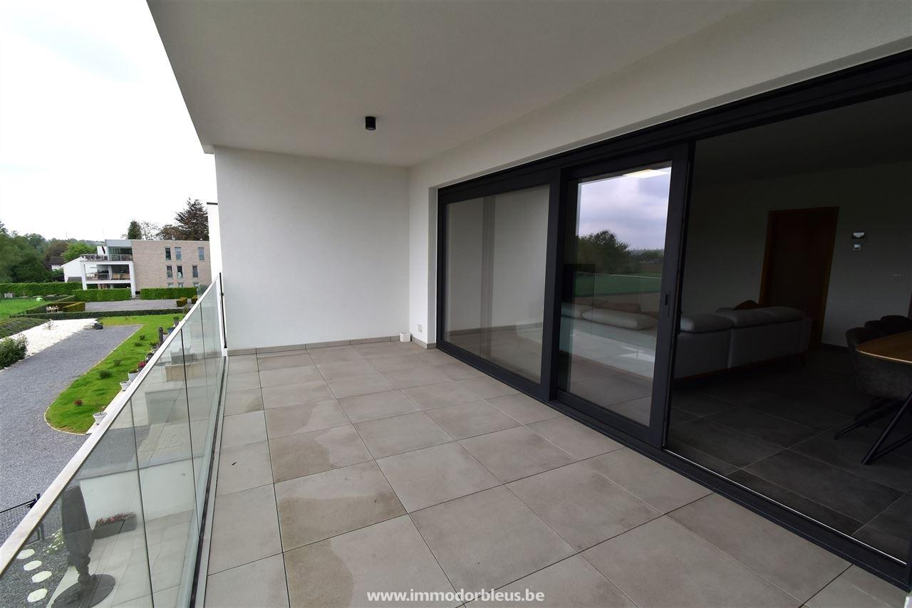 a-louer-appartement-berneau-2552-6.jpg