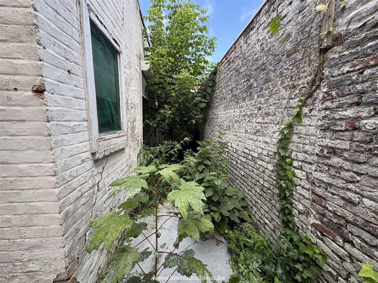 a-vendre-maison-lige-2936-5.jpg