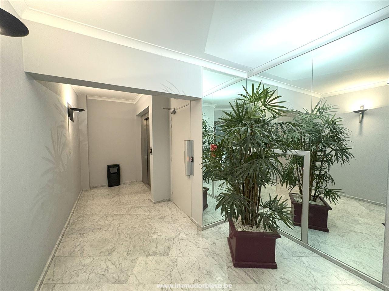 a-vendre-appartement-lige-3047-19.jpg