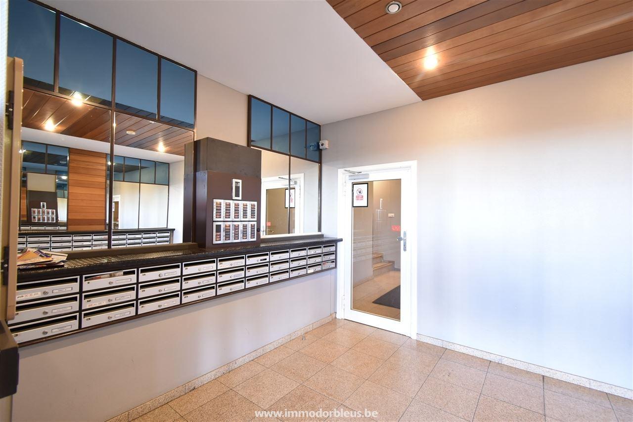 a-louer-appartement-lige-3084-19.jpg